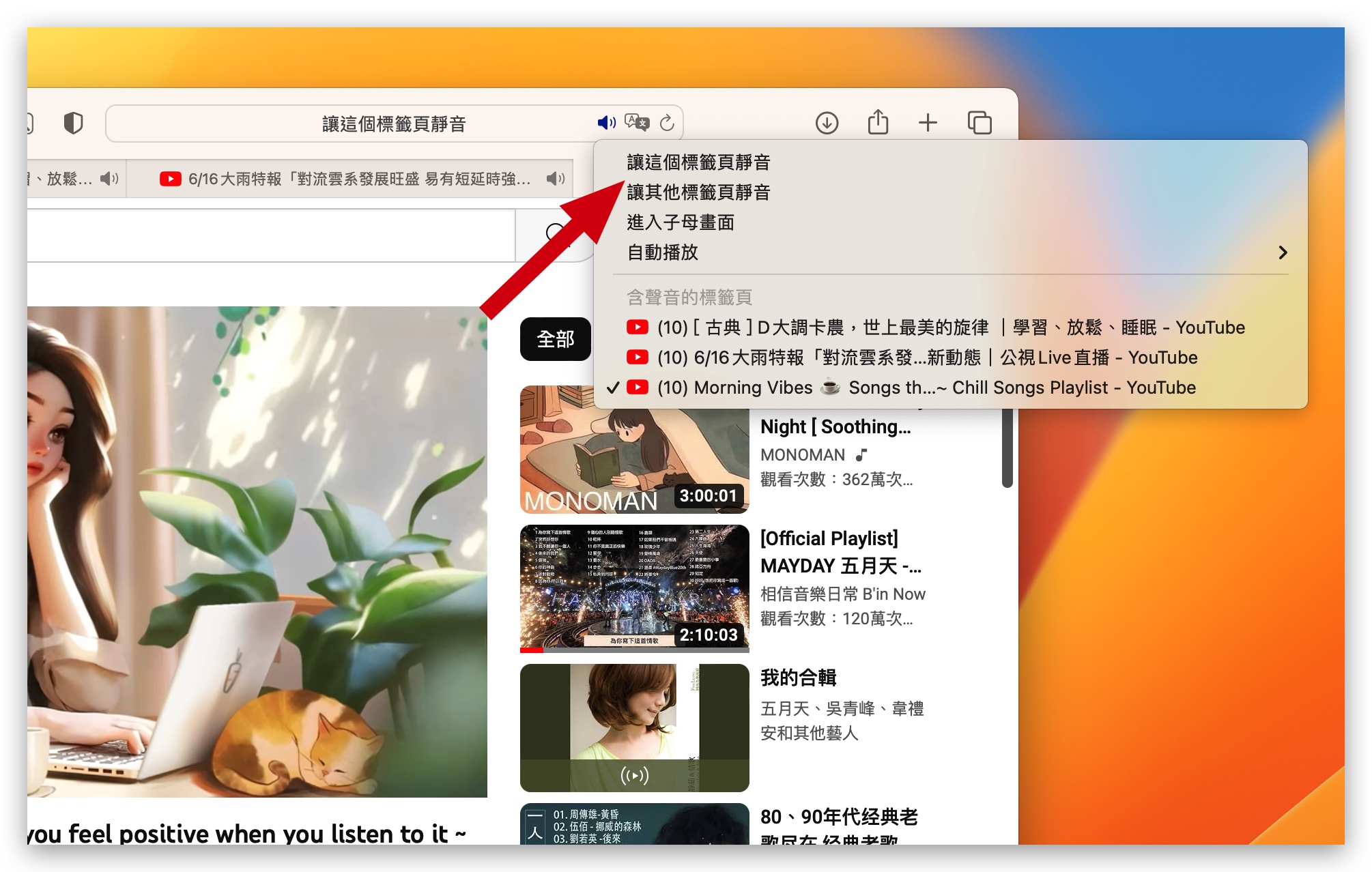 Mac Safari 分頁 靜音