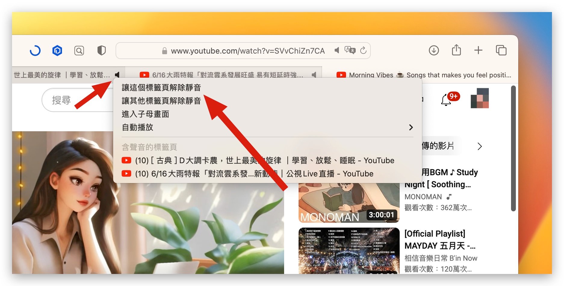 Mac Safari 分頁 靜音