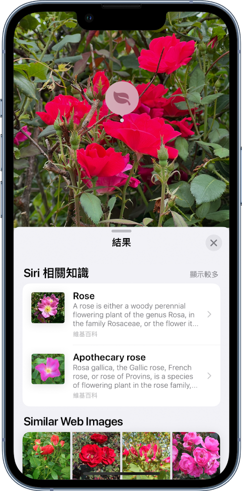 iOS iOS 17 圖像查詢