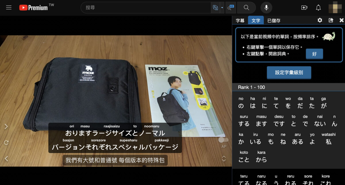 YouTube 雙字幕 Language Reactor 5