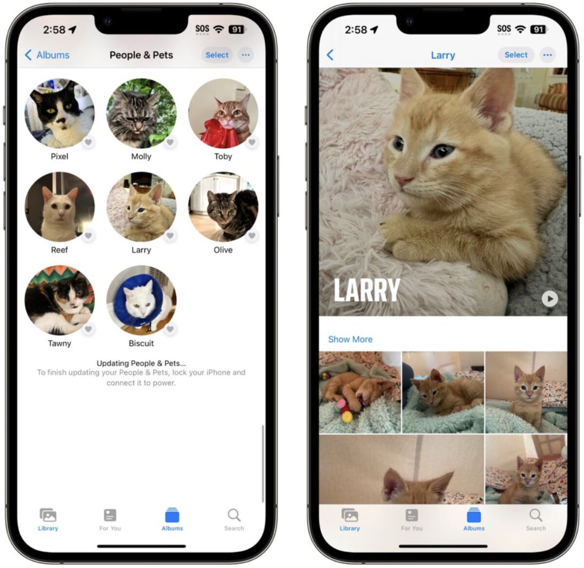 iPhone iOS 17 QR code 照片 相機 功能