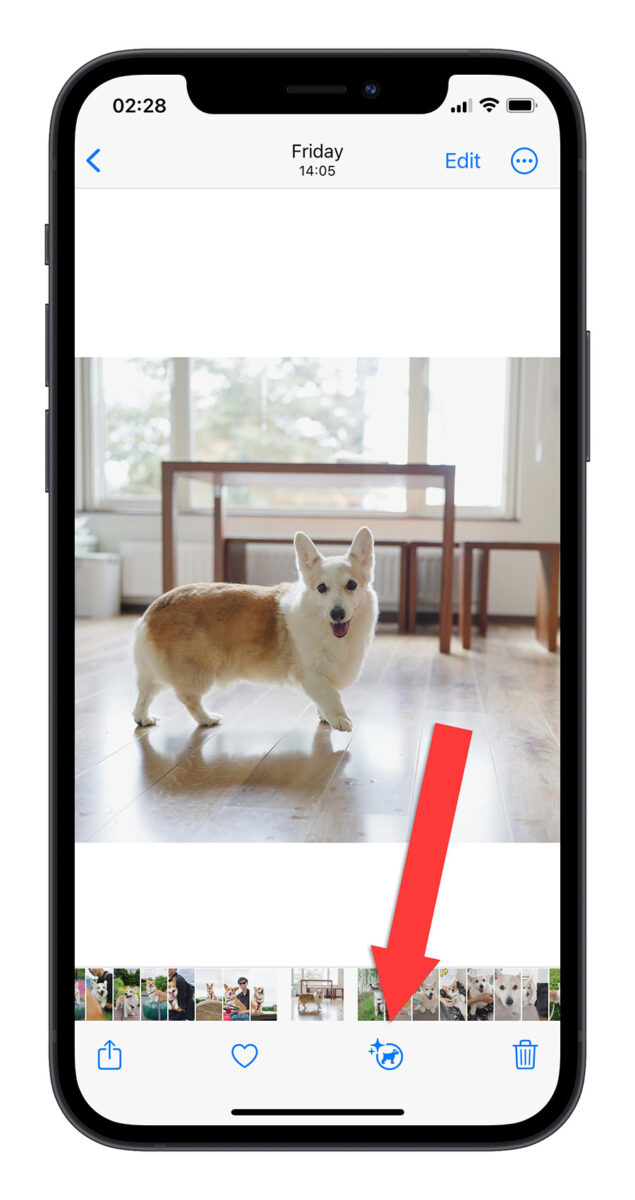 iPhone 圖像查詢 iOS 17 查詢標籤 查詢食譜