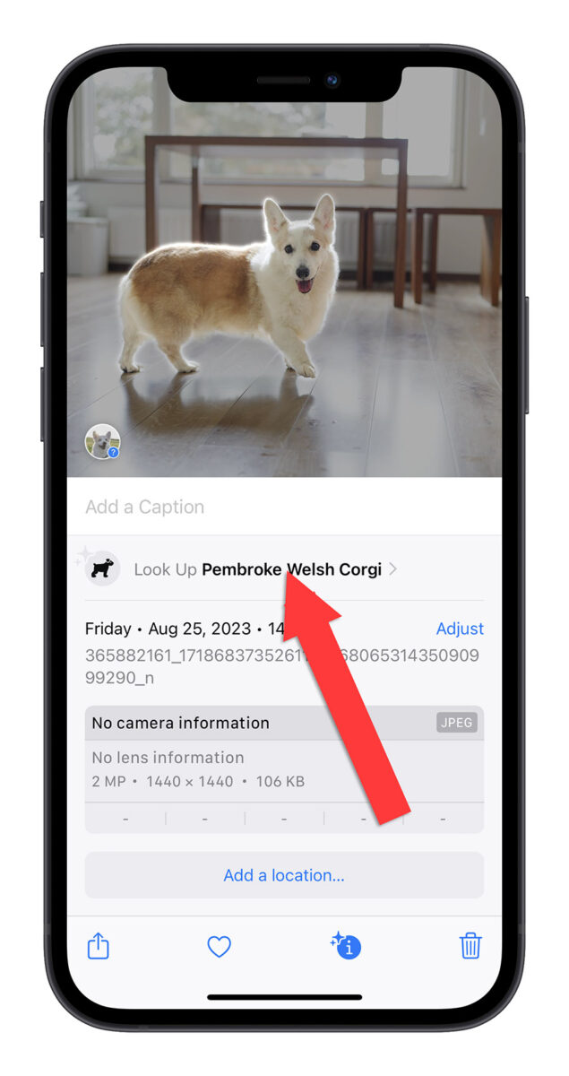 iPhone 圖像查詢 iOS 17 查詢標籤 查詢食譜