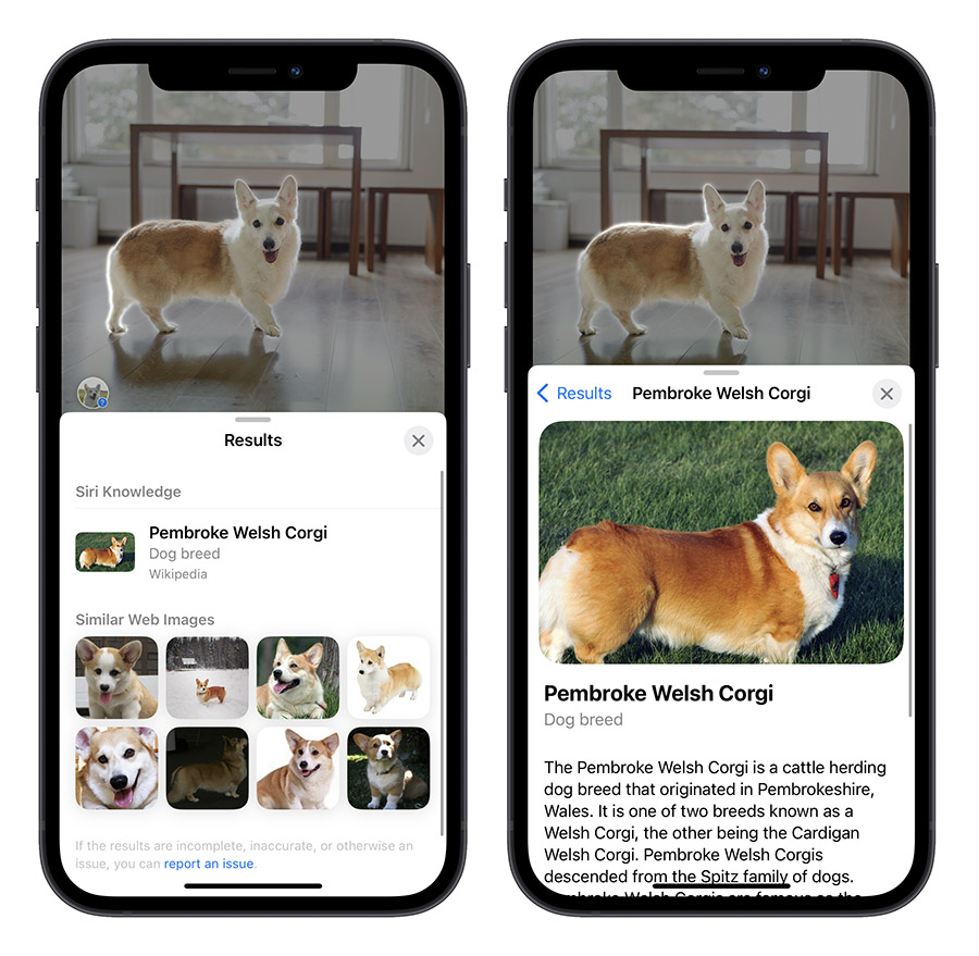 iPhone 圖像查詢 iOS 17 查詢標籤 查詢食譜