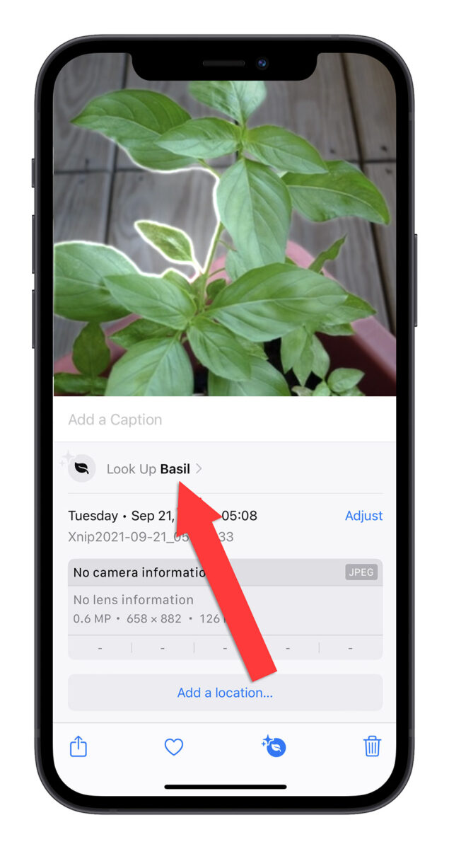 iPhone 圖像查詢 iOS 17 查詢標籤 查詢食譜