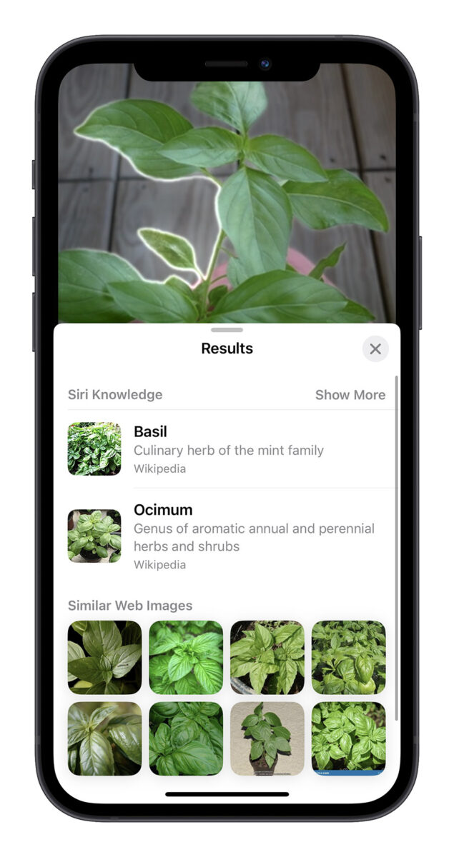 iPhone 圖像查詢 iOS 17 查詢標籤 查詢食譜