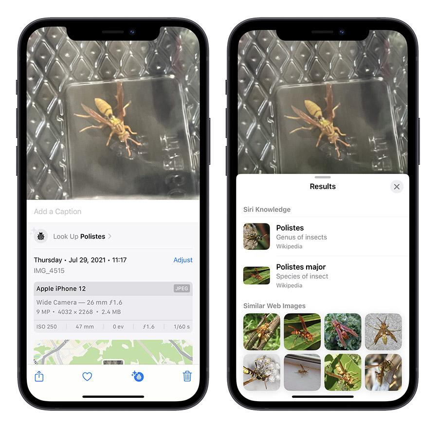iPhone 圖像查詢 iOS 17 查詢標籤 查詢食譜