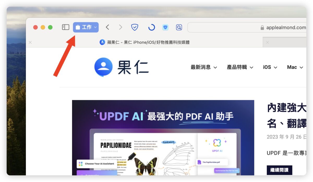 macOS 14 更新 特色 功能 Safari 主題類別