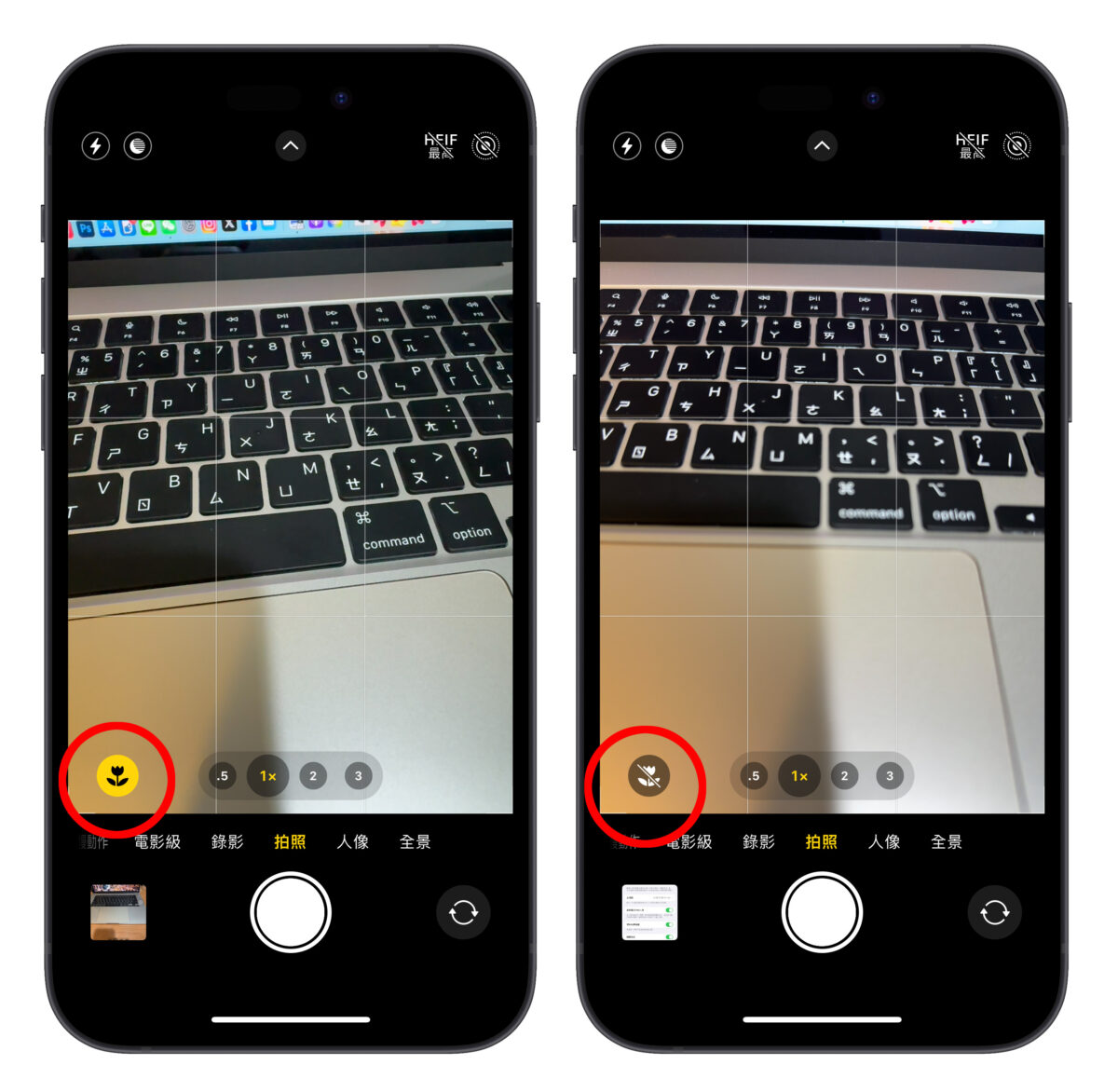 iOS iPhone iPhone 15 Pro 相機閃一下 相機 微距攝影