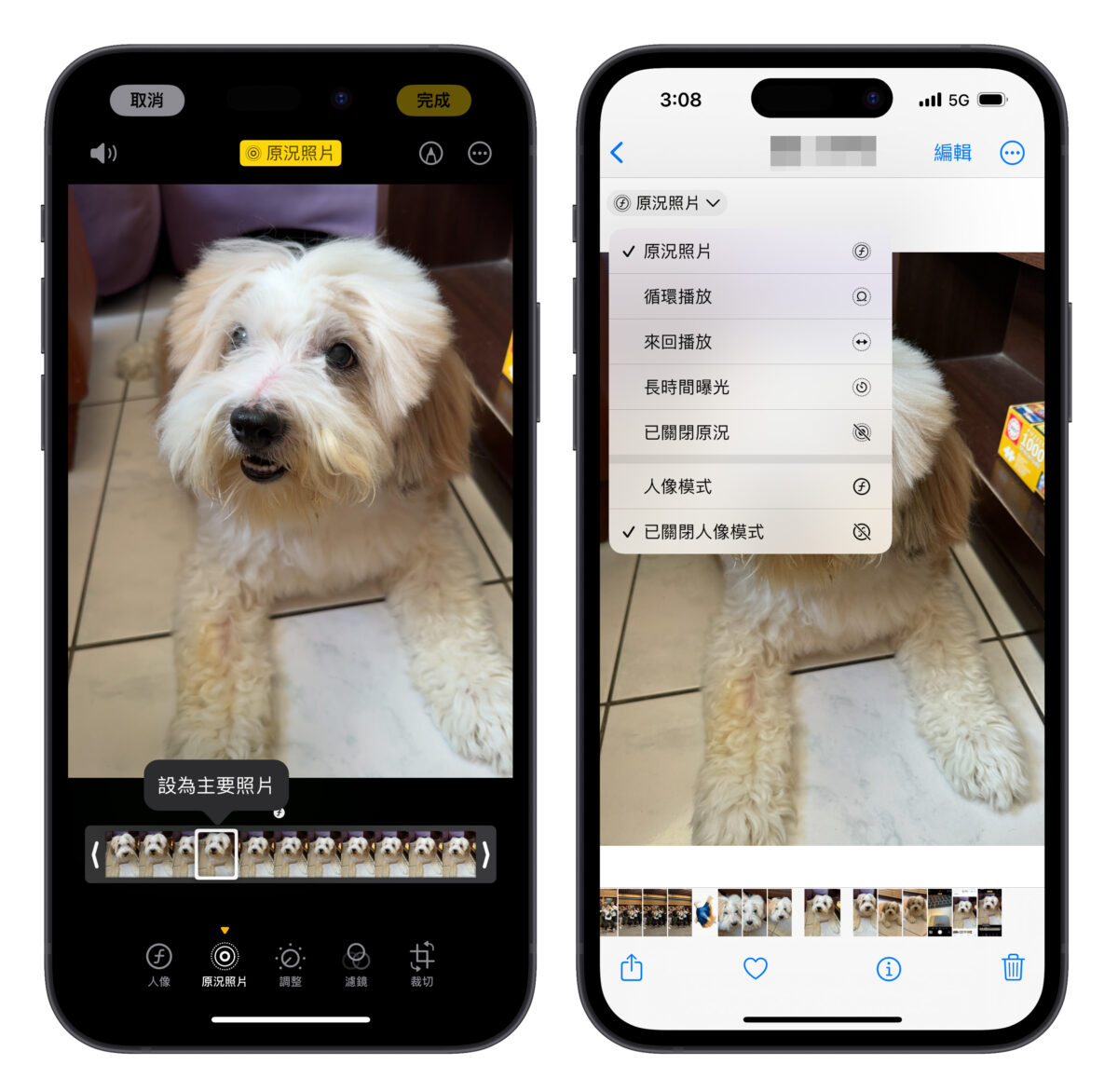 iOS iPhone 原況照片 LivePhoto 鎖定畫面 iOS 17