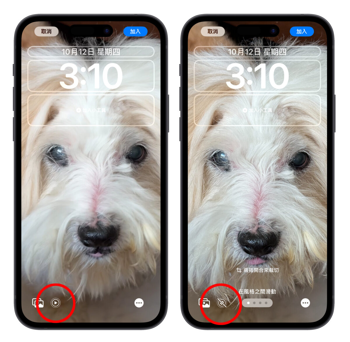 iOS iPhone 原況照片 LivePhoto 鎖定畫面 iOS 17