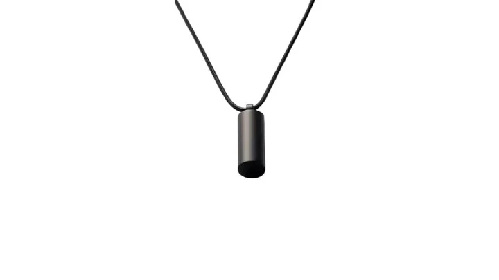 AI Pin
