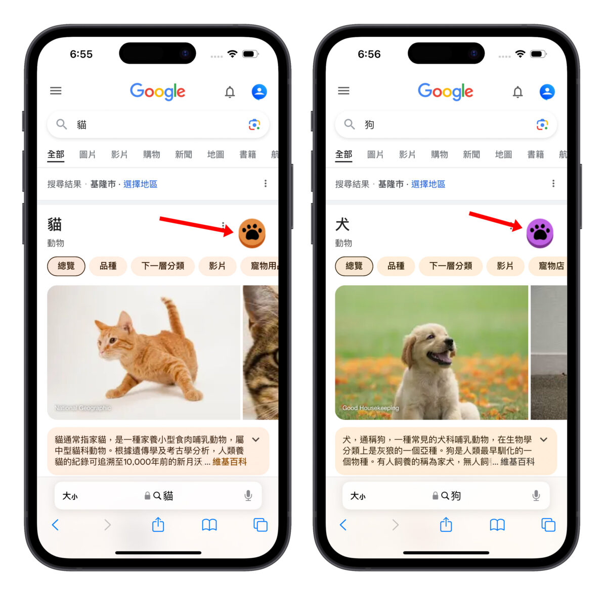 Google 隱藏彩蛋 Google 搜尋