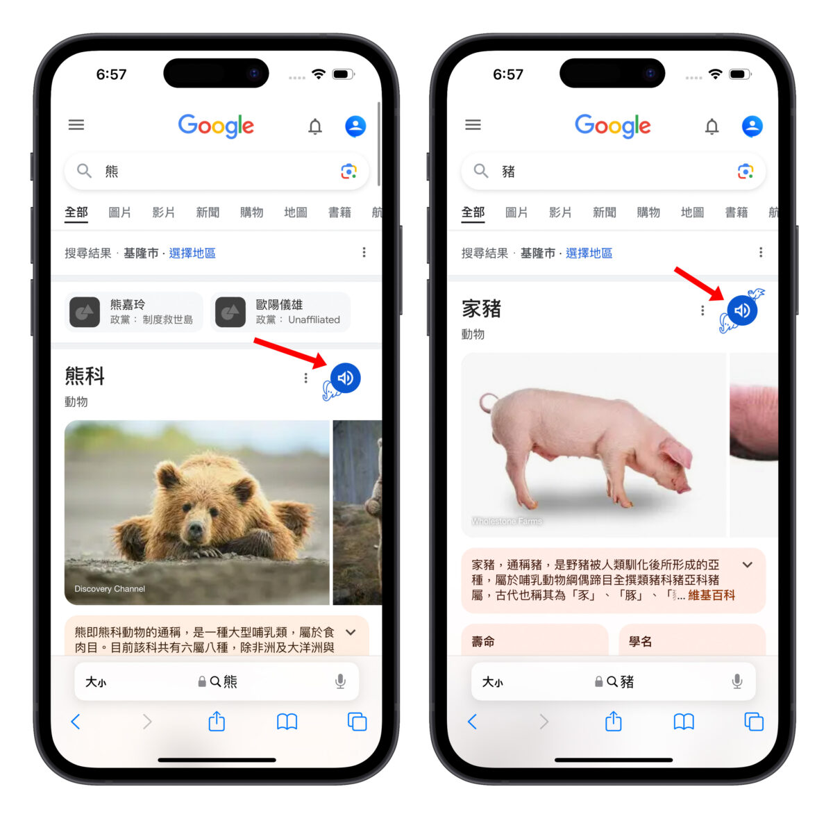 Google 隱藏彩蛋 Google 搜尋
