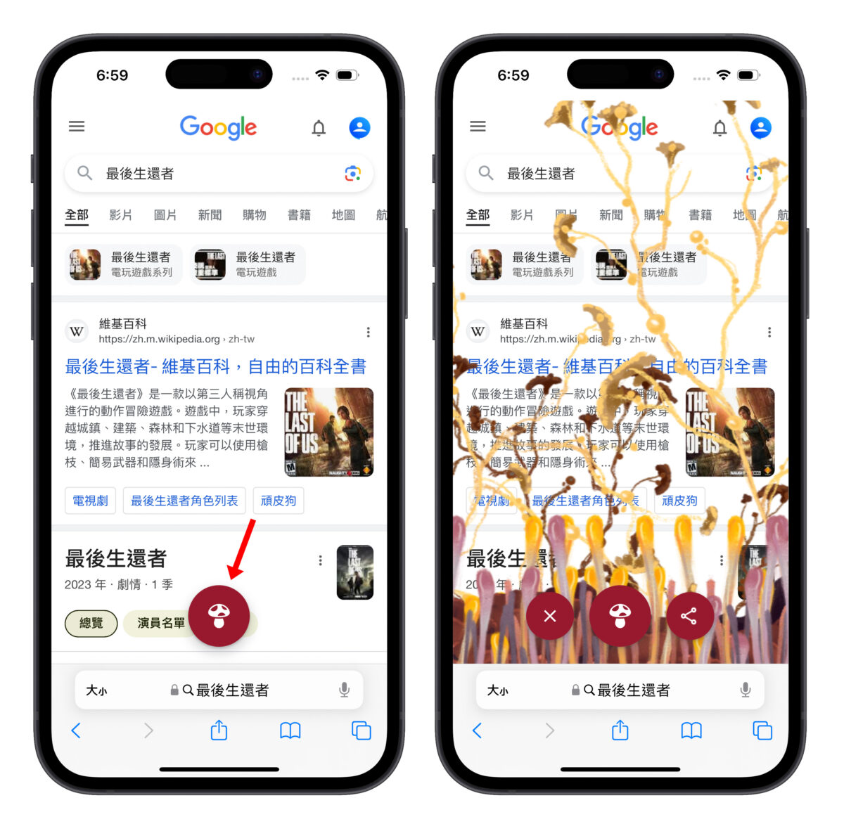 Google 隱藏彩蛋 Google 搜尋