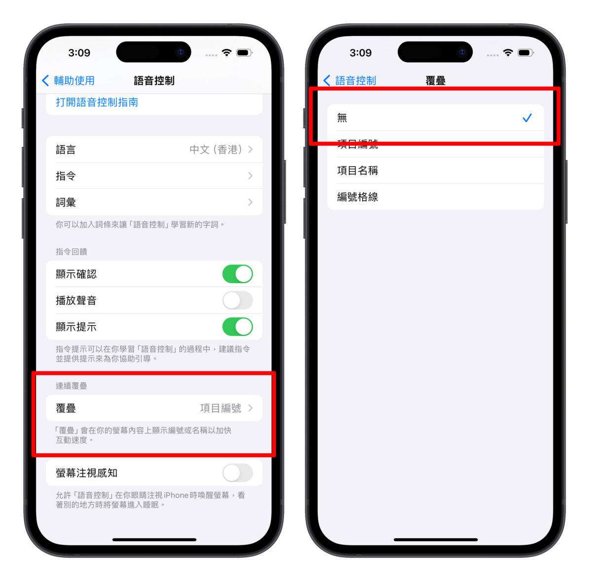 iOS iPhone iPhone 畫面上出現數字 語音控制 覆疊