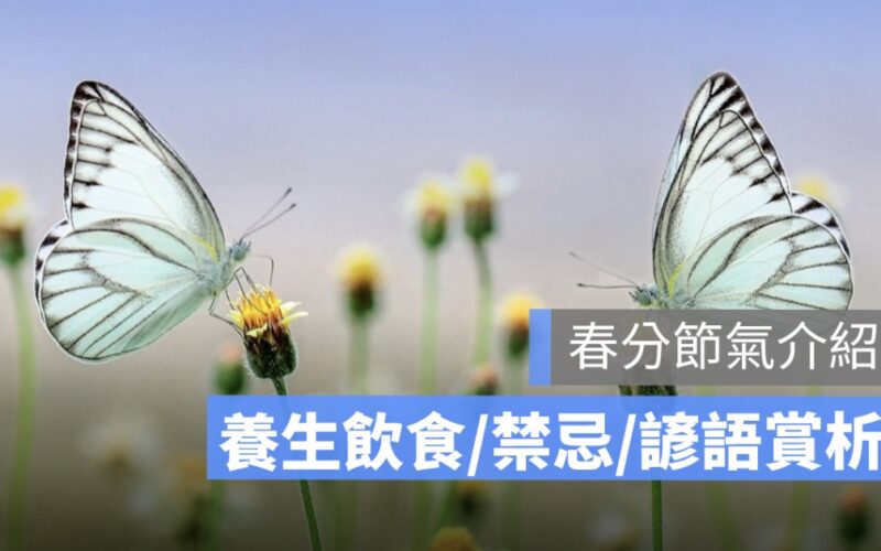 【春分節氣】6 大禁忌、養生飲食吃什麼及諺語、詩詞介紹 2024 年版