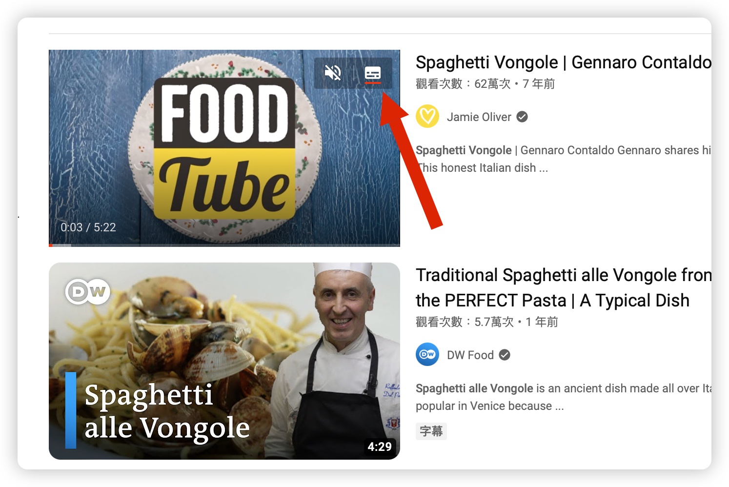 ChatGPT  YouTube 整理重點 外掛 Video Summarizer