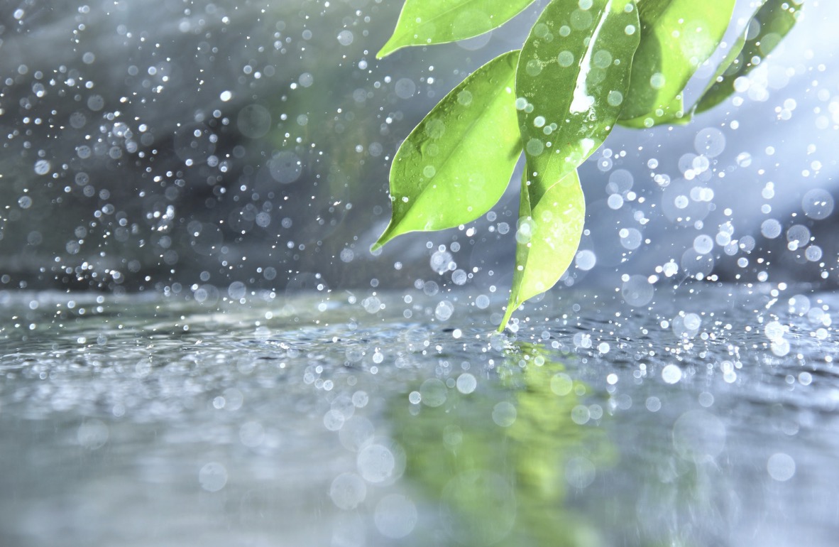 毛毛雨