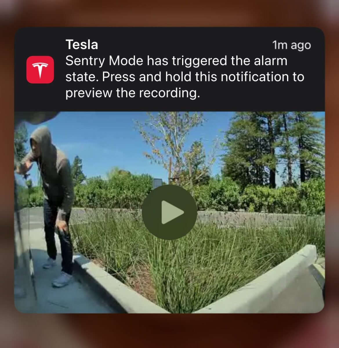 特斯拉 Tesla 春季更新 Model S Model X Model 3 Model Y