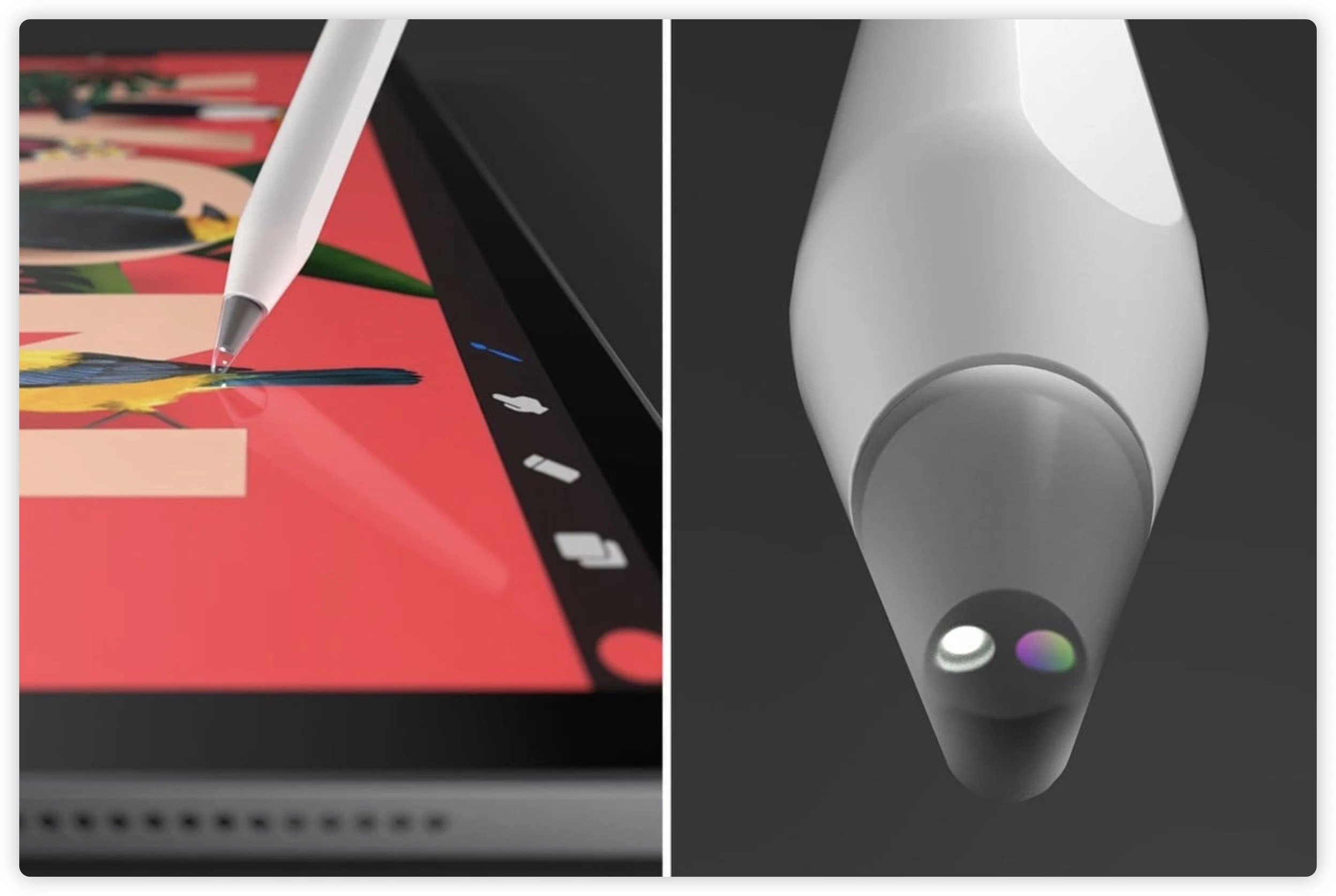 5 月發表會 Apple Pencil 3