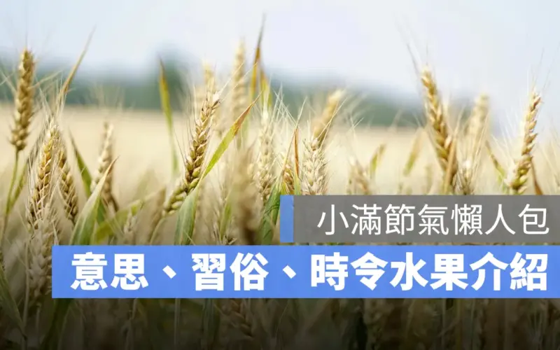 2024 小滿節氣：小滿意思、習俗、時令水果一次看