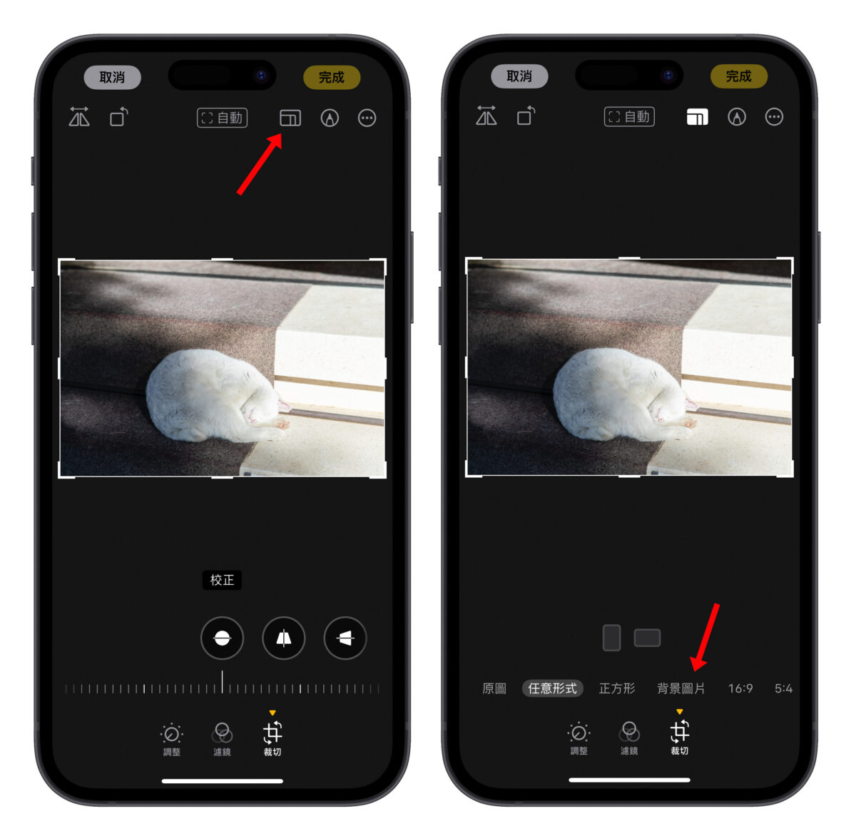 iPhone iOS 桌布 iPhone 桌布尺寸