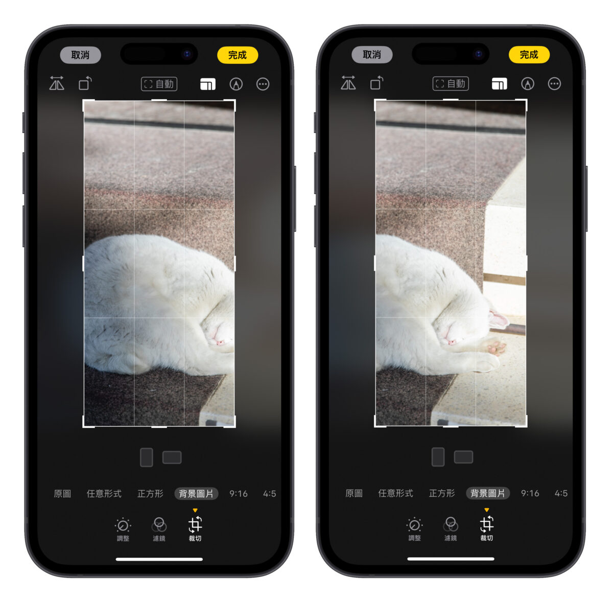 iPhone iOS 桌布 iPhone 桌布尺寸