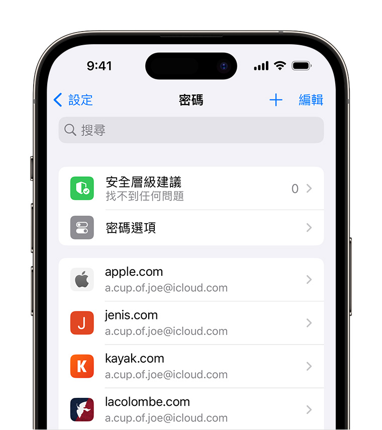 iPhone iOS iOS 18 iPad iPadOS iPadOS 18 Mac macOS macOS 15 密碼 App