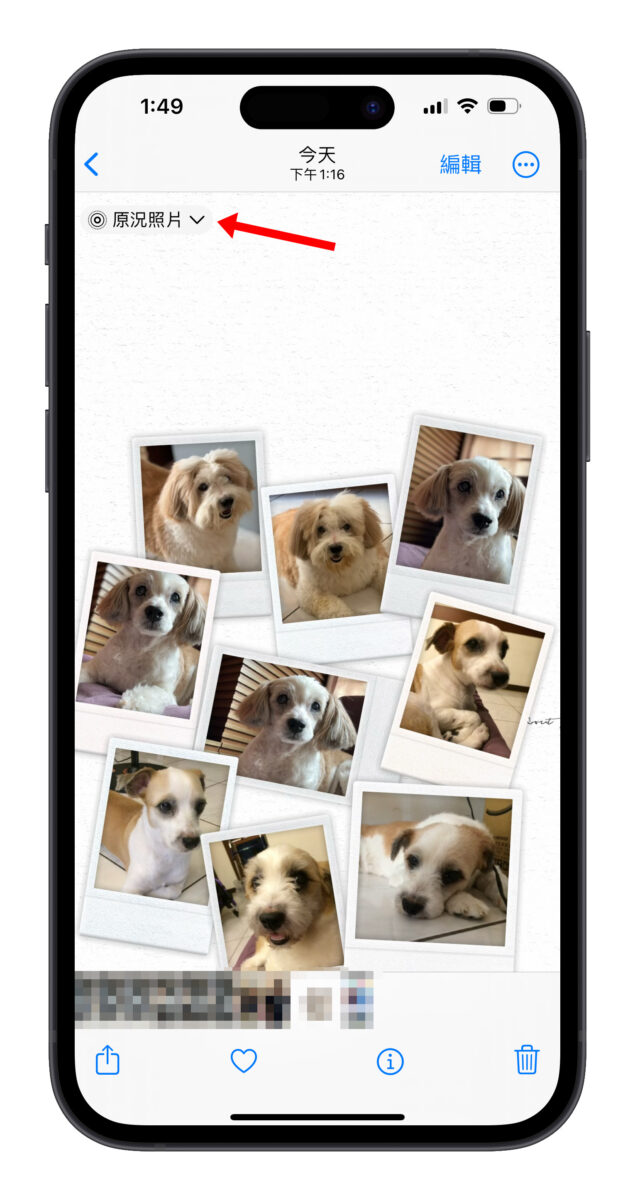 Colorful Widget Threads 原況照片 livephoto 動態桌布 iOS 17 iOS iPhone 桌布 iPhone 拍立得擴散桌布