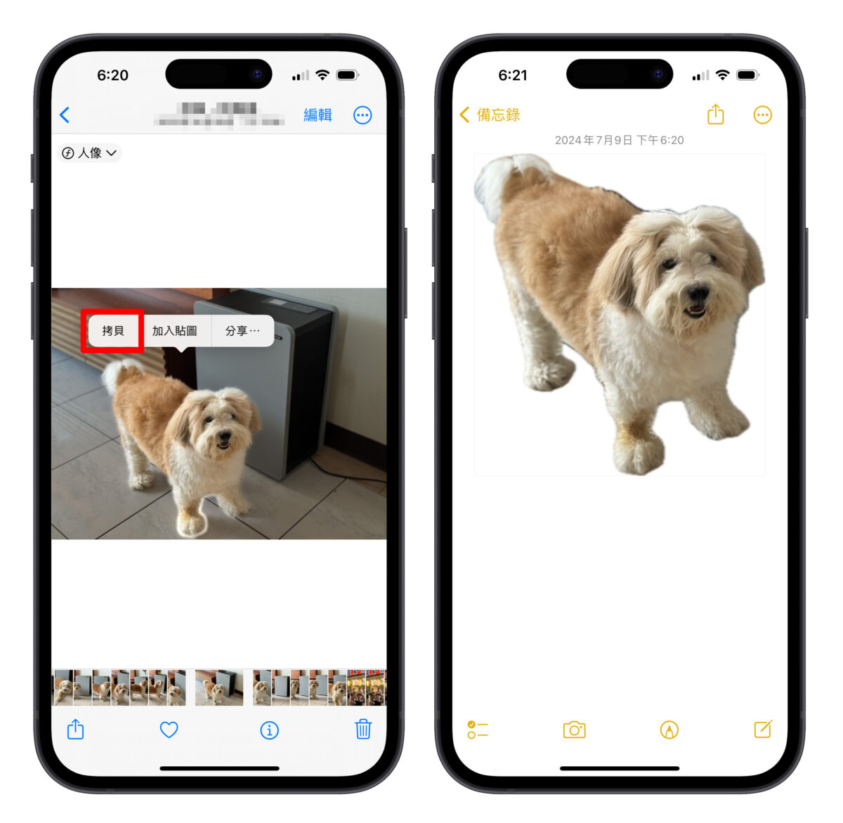 iPhone iOS iPhone 照片去背 照片去背 去背