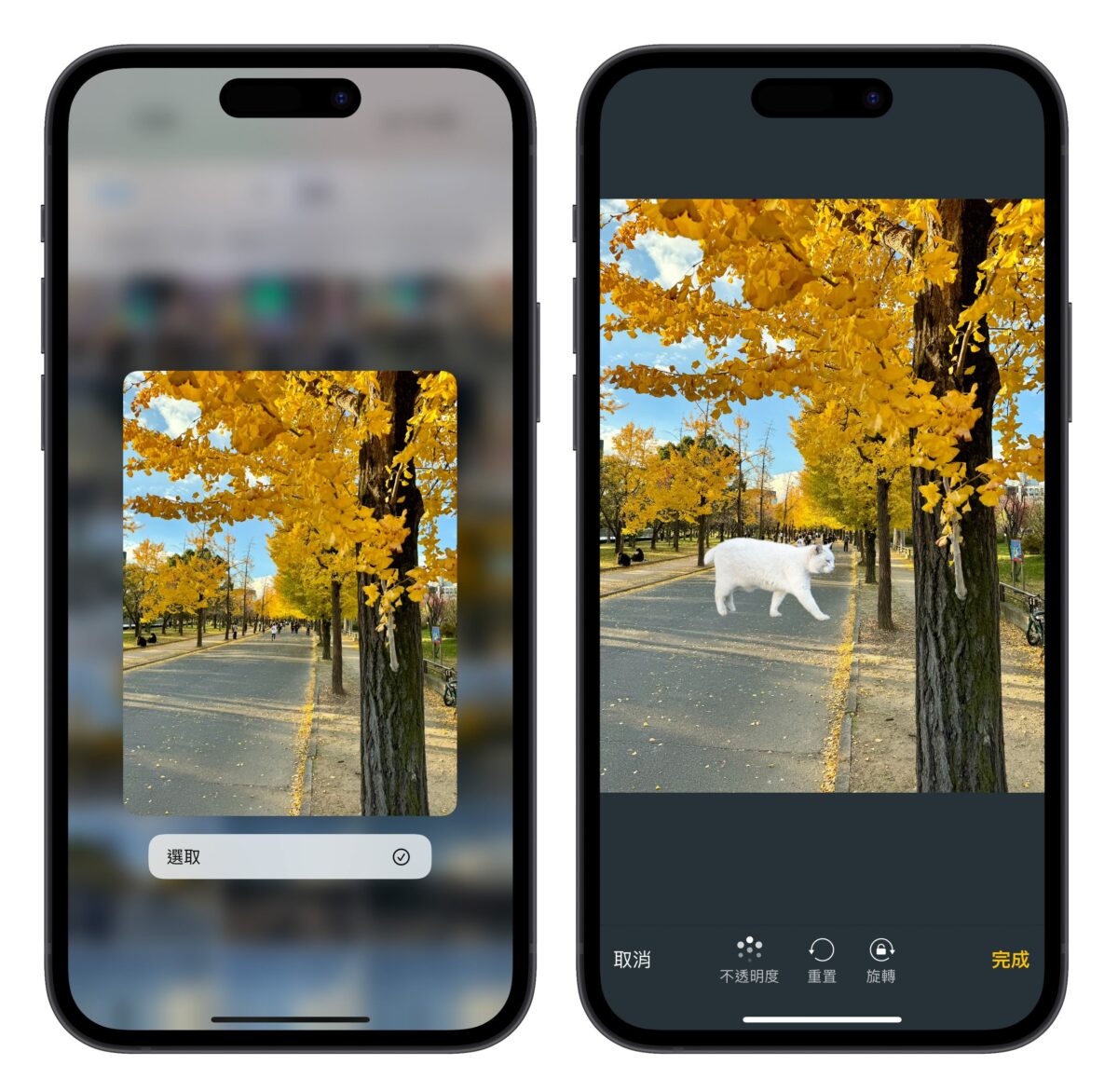 iPhone iOS 捷徑 iPhone 照片去背合成捷徑