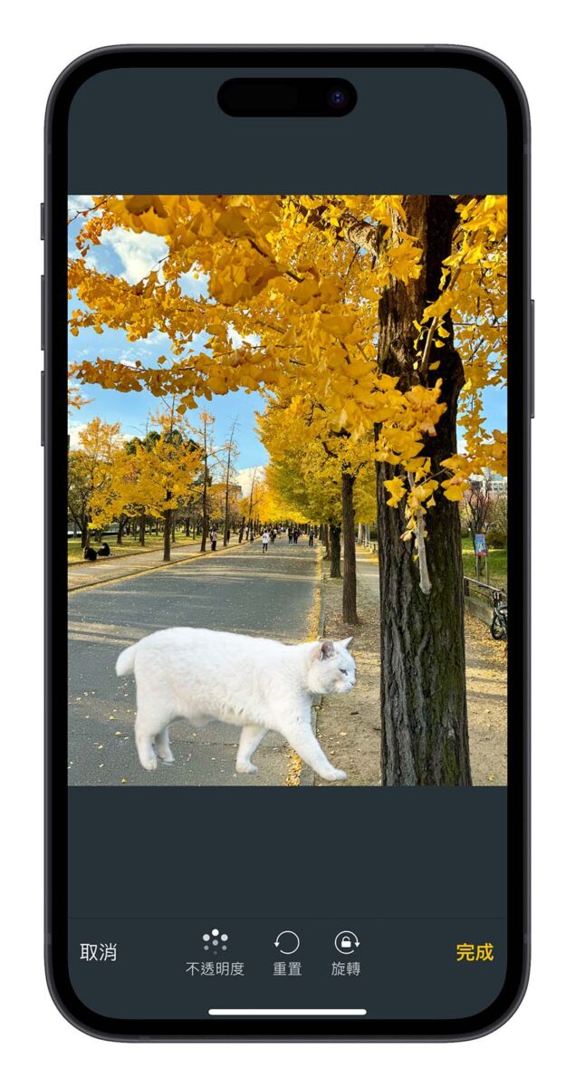 iPhone iOS 捷徑 iPhone 照片去背合成捷徑