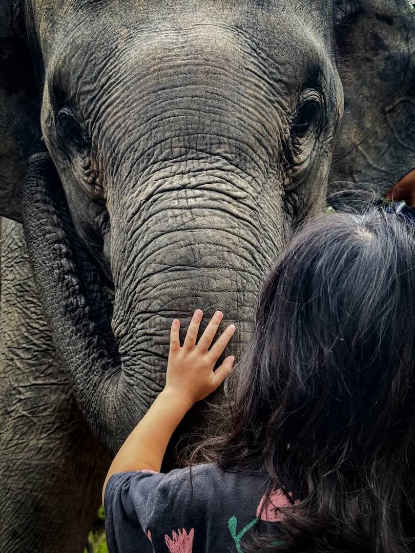 IPPA 2024 IPPA iPhone 攝影大獎 iPhone Photography Awards