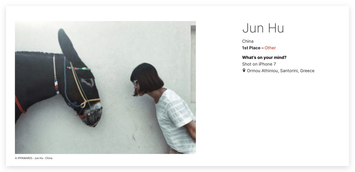 IPPA 2024 IPPA iPhone 攝影大獎 iPhone Photography Awards