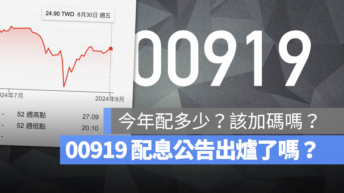 00919 配息 公告 金額