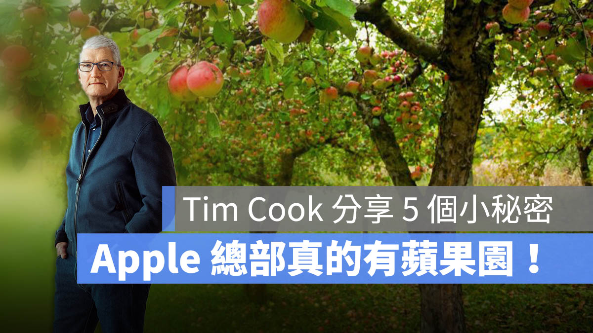 Tim Cook 專訪