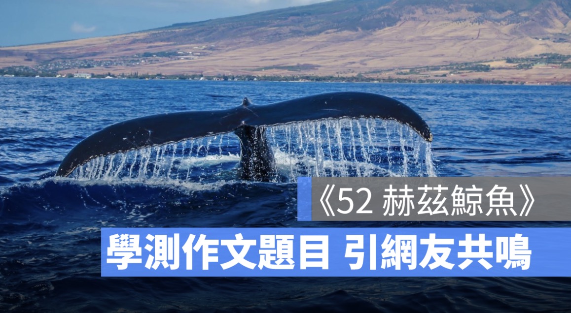 「52 赫茲鯨魚」的孤獨共鳴，114年學測國文作文題目