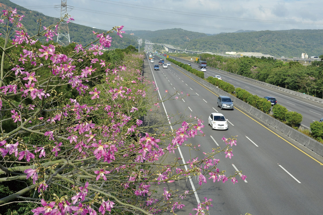 高速公路