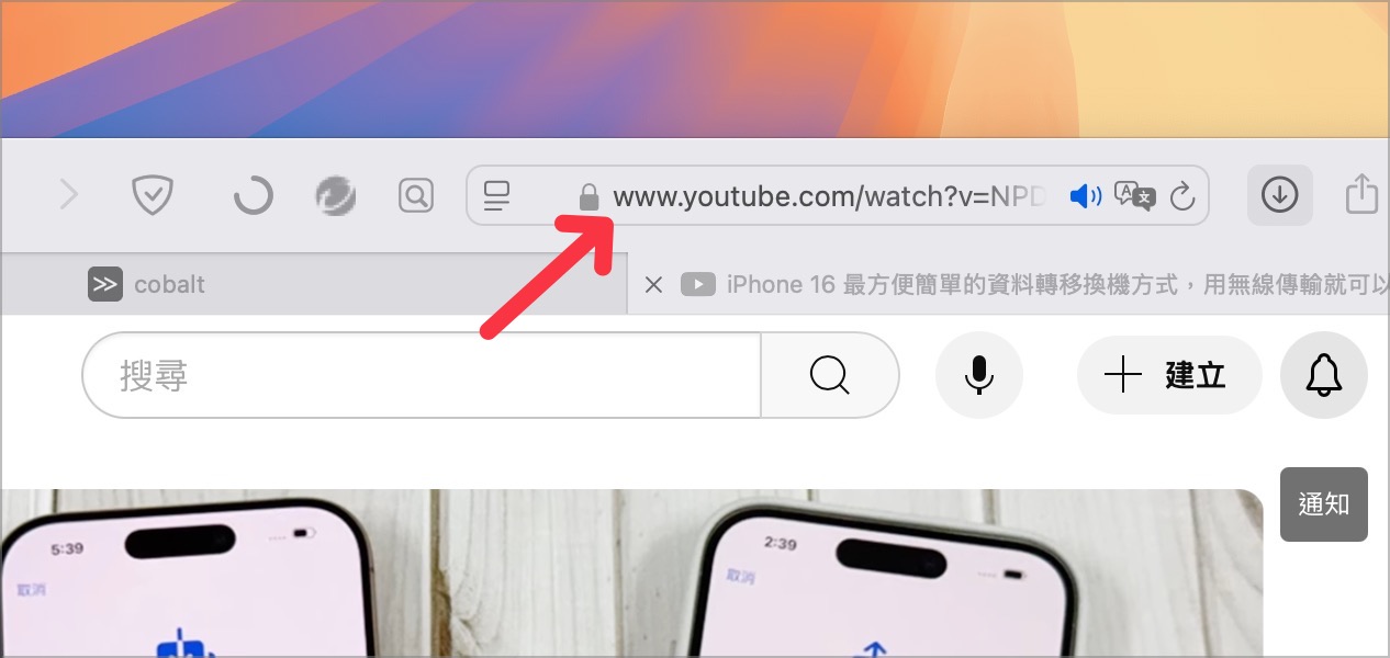 YouTube IG Facebook 影片下載 cobalt