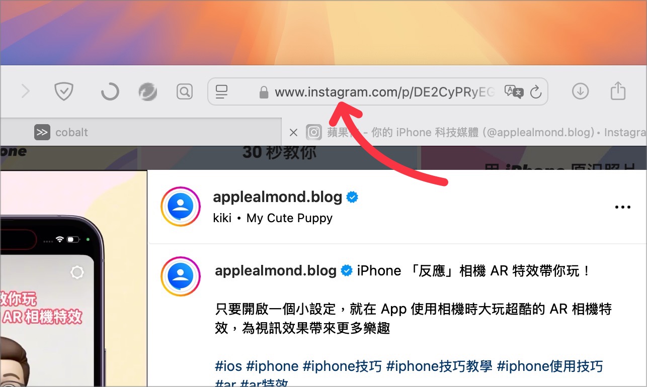 YouTube IG Facebook 影片下載 cobalt
