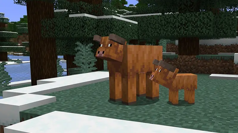 Minecraft 當個創世神 我的世界 新版本 25w05a 00