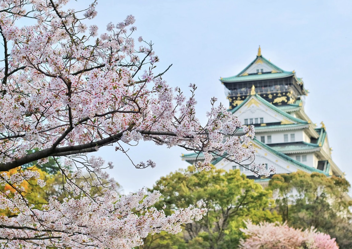 櫻花