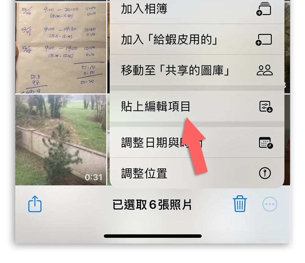 iPhone 照片 拷貝項目