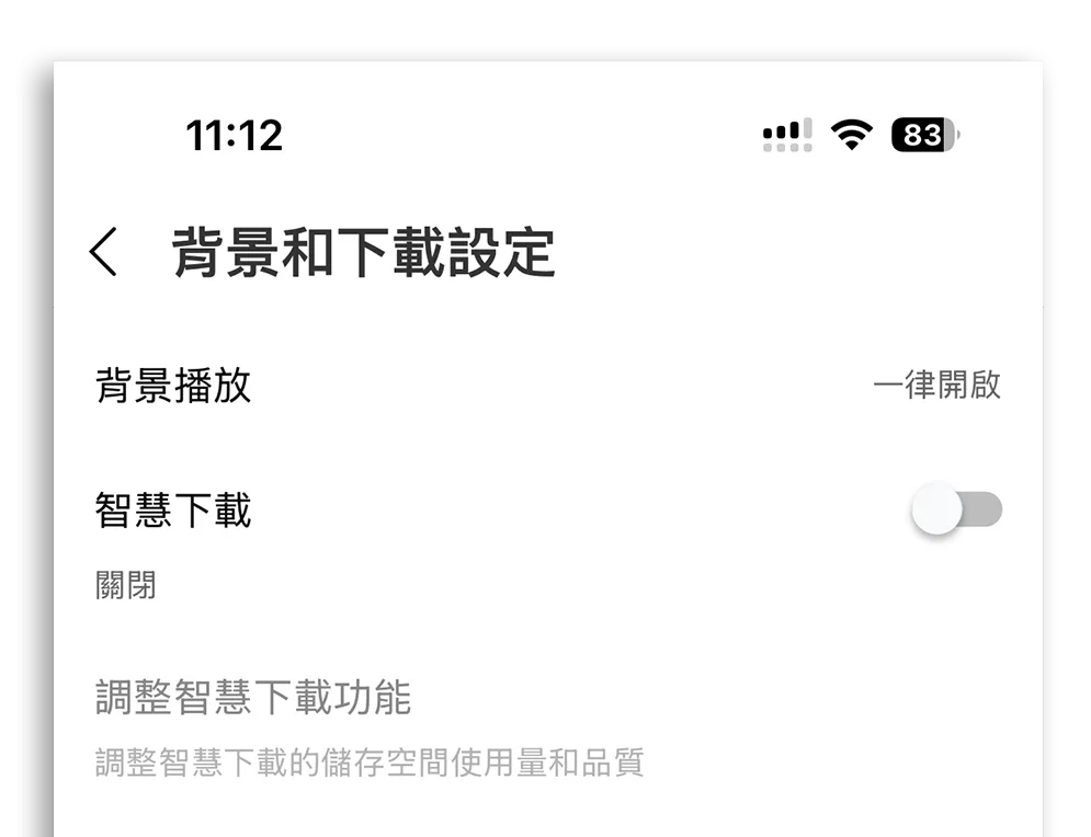 iPhone 行動網路流量
