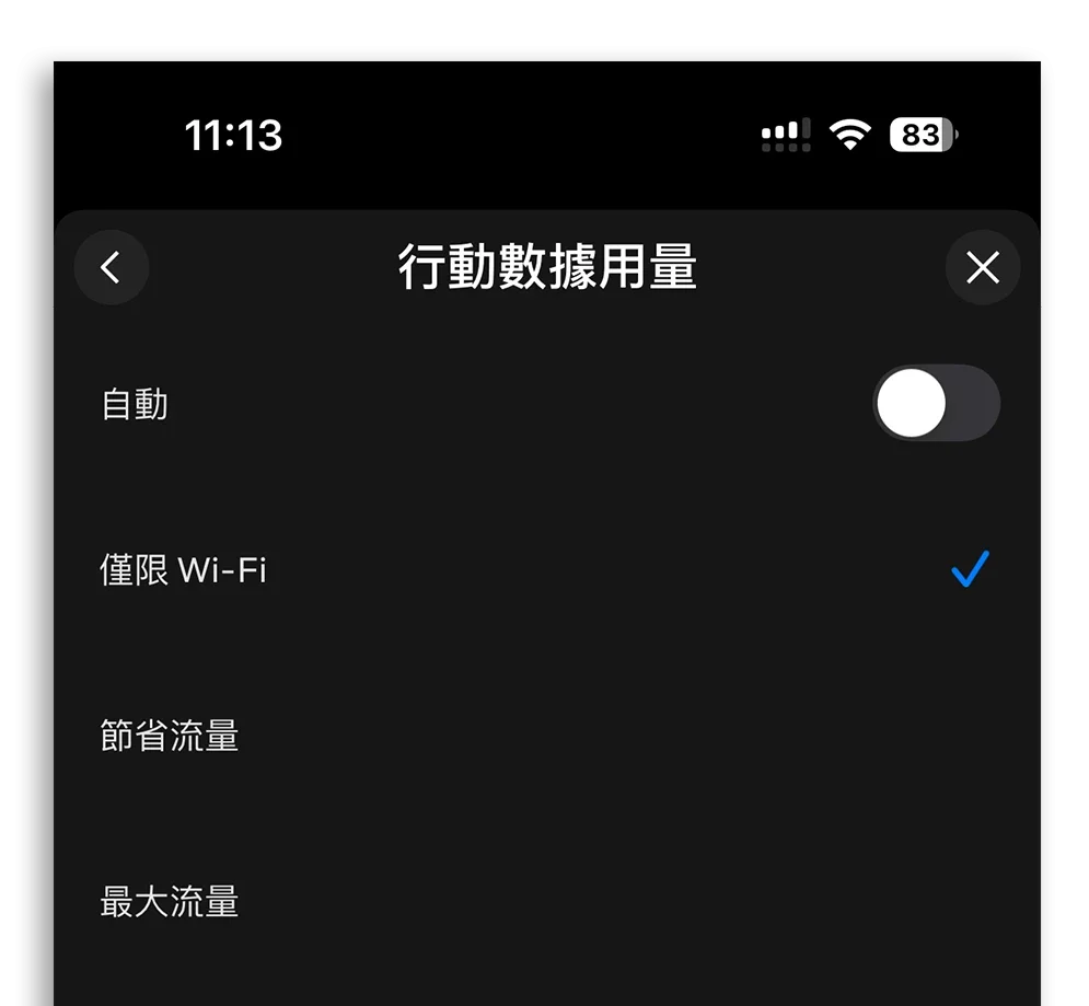 iPhone 行動網路流量