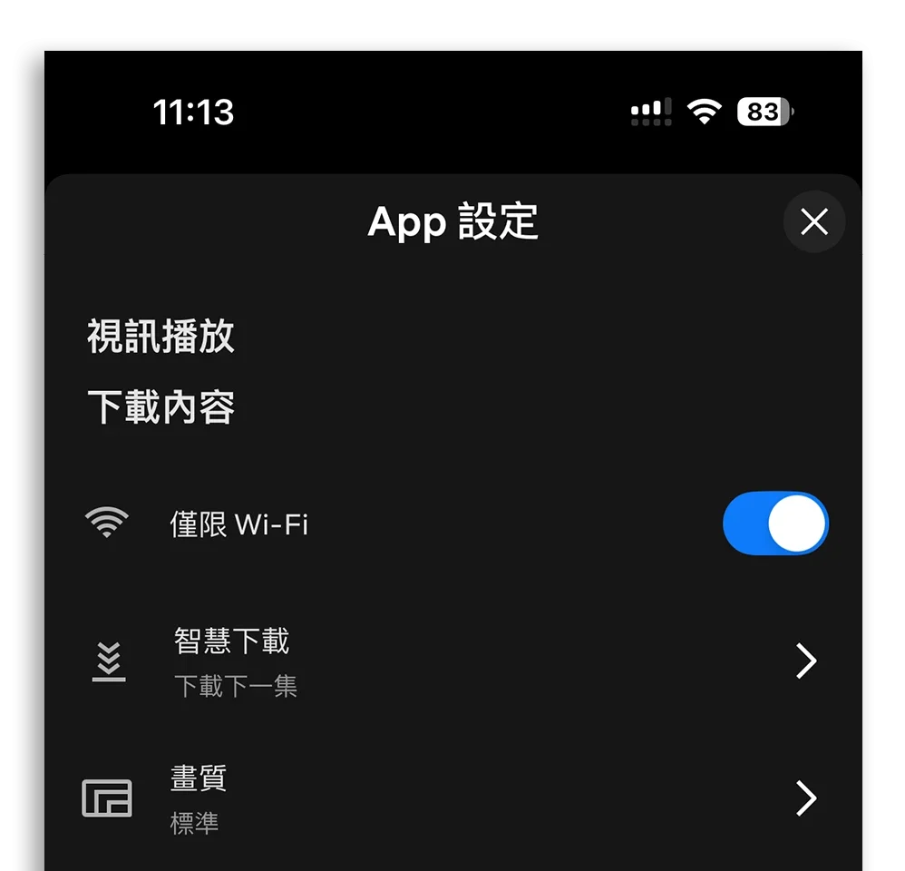 iPhone 行動網路流量