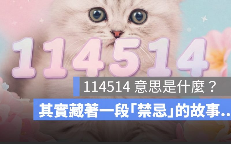 114514 意思是什麼？背後其實藏著一段「禁忌」的故事