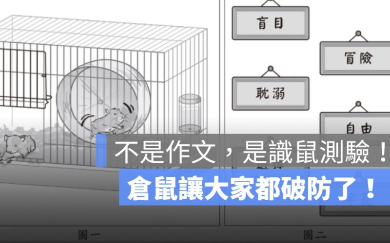 【會考作文題目變成生存遊戲?】2 隻倉鼠如何讓全台學生、飼主、老師一起暴動?