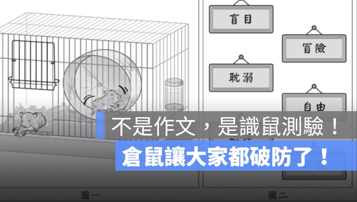 【會考作文題目變成生存遊戲?】2 隻倉鼠如何讓全台學生、飼主、老師一起暴動?